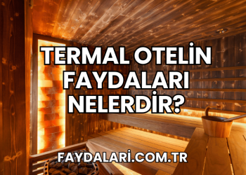 Termal Otelin Faydaları Nelerdir?