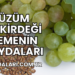 Üzüm Çekirdeği Yemenin Faydaları