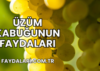 Üzüm Kabuğunun Faydaları