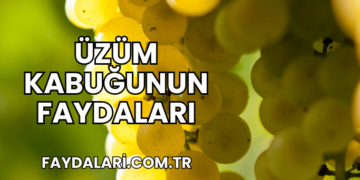 Üzüm Kabuğunun Faydaları