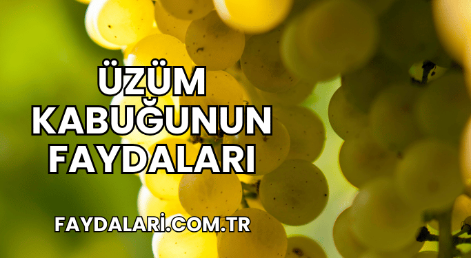 Üzüm Kabuğunun Faydaları