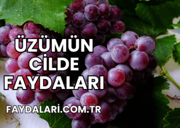 Üzümün Cilde Faydaları