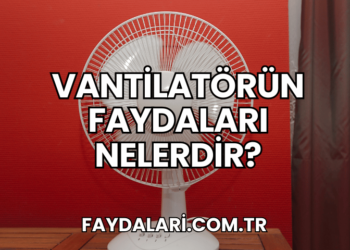 Vantilatörün Faydaları Nelerdir?