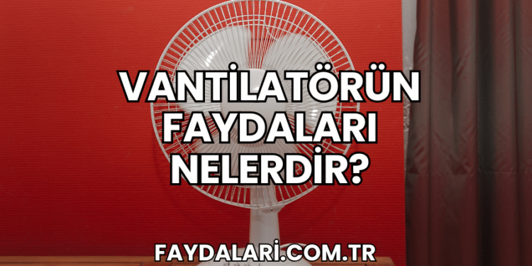 Vantilatörün Faydaları Nelerdir?