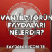 Vantilatörün Faydaları Nelerdir?