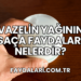 Vazelin Yağının Saça Faydaları Nelerdir?