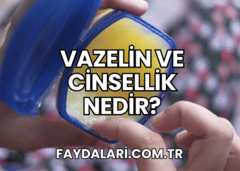 Vazelin ve Cinsellik Nedir?