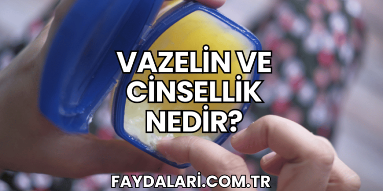 Vazelin ve Cinsellik Nedir?