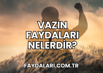 Vazın Faydaları Nelerdir?