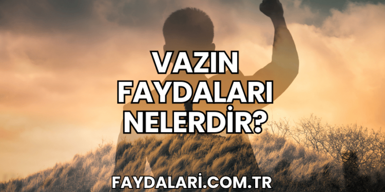 Vazın Faydaları Nelerdir?