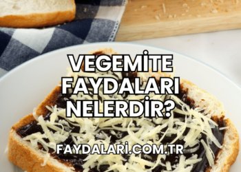 Vegemite Faydaları Nelerdir?