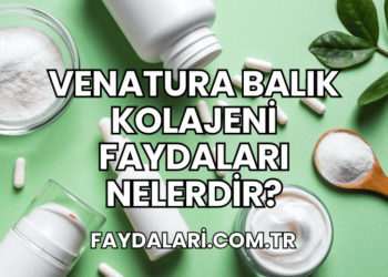 Venatura Balık Kolajeni Faydaları Nelerdir?