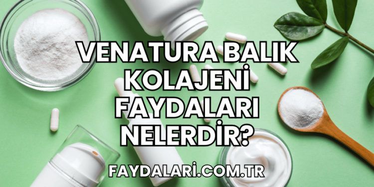 Venatura Balık Kolajeni Faydaları Nelerdir?
