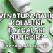 Venatura Balık Kolajeni Faydaları Nelerdir?