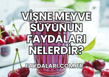 Vişne Meyve Suyunun Faydaları Nelerdir?