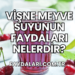 Vişne Meyve Suyunun Faydaları Nelerdir?