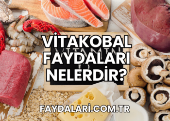 Vitakobal Faydaları Nelerdir?