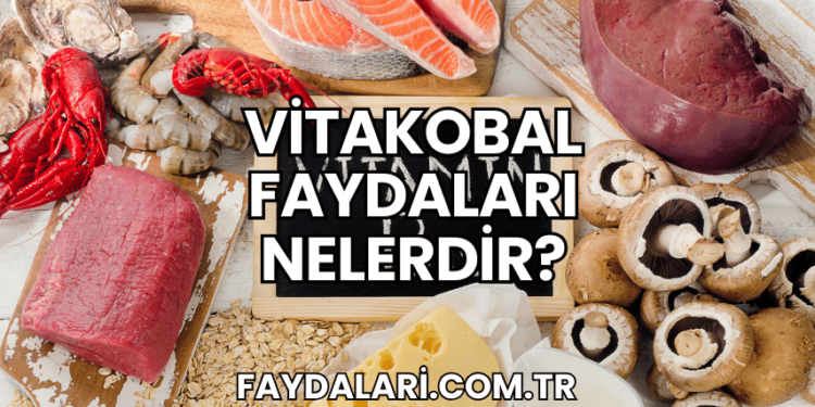 Vitakobal Faydaları Nelerdir?