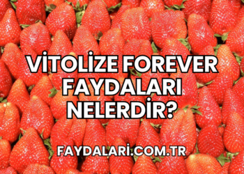 Vitolize Forever Faydaları Nelerdir?