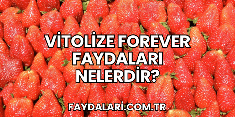 Vitolize Forever Faydaları Nelerdir?
