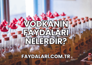 Vodkanın Faydaları Nelerdir?