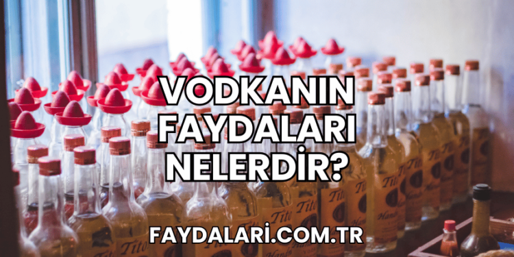 Vodkanın Faydaları Nelerdir?