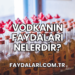 Vodkanın Faydaları Nelerdir?
