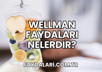 Wellman Faydaları Nelerdir?