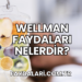 Wellman Faydaları Nelerdir?
