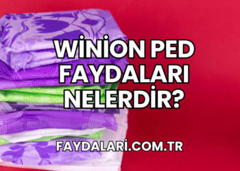 Winion Ped Faydaları Nelerdir?
