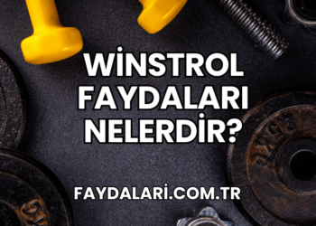 Winstrol Faydaları Nelerdir?
