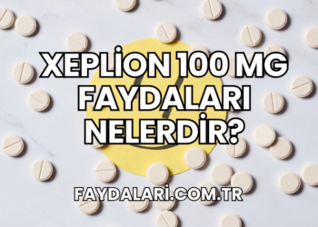 Xeplion 100 mg Faydaları Nelerdir?