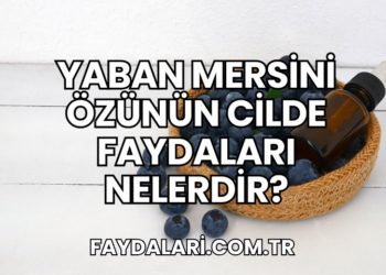 Yaban Mersini Özünün Cilde Faydaları Nelerdir?