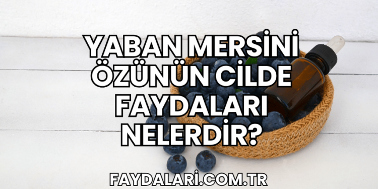 Yaban Mersini Özünün Cilde Faydaları Nelerdir?