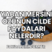 Yaban Mersini Özünün Cilde Faydaları Nelerdir?