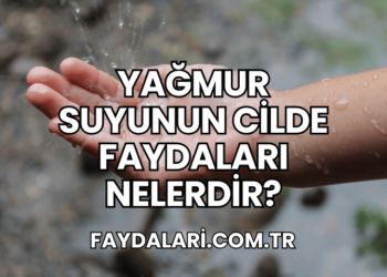 Yağmur Suyunun Cilde Faydaları Nelerdir?