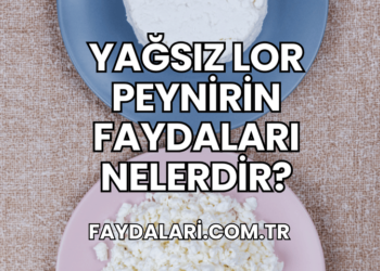 Yağsız Lor Peynirin Faydaları Nelerdir?