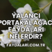 Yalancı Portakal Ağacı Faydaları Nelerdir?