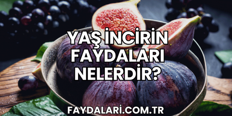 Yaş İncirin Faydaları Nelerdir?