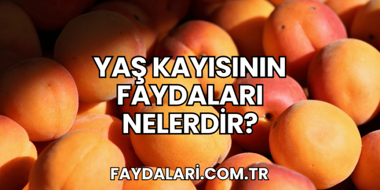 Yaş Kayısının Faydaları Nelerdir?