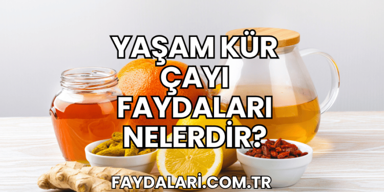 Yaşam Kür Çayı Faydaları Nelerdir?