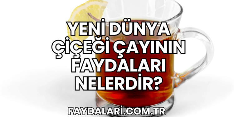 Yeni Dünya Çiçeği Çayının Faydaları Nelerdir?