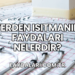 Yerden Isıtmanın Faydaları Nelerdir?