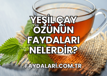 Yeşil Çay Özünün Faydaları Nelerdir?