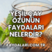 Yeşil Çay Özünün Faydaları Nelerdir?