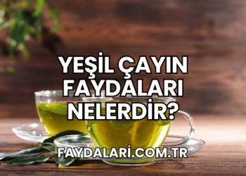 Yeşil Çayın Faydaları Nelerdir?