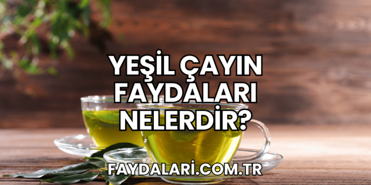 Yeşil Çayın Faydaları Nelerdir?