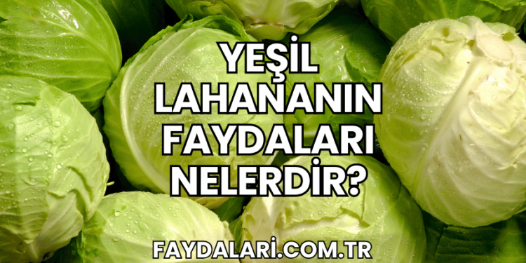 Yeşil Lahananın Faydaları Nelerdir?
