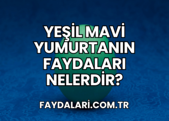 Yeşil Mavi Yumurtanın Faydaları Nelerdir?