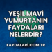 Yeşil Mavi Yumurtanın Faydaları Nelerdir?